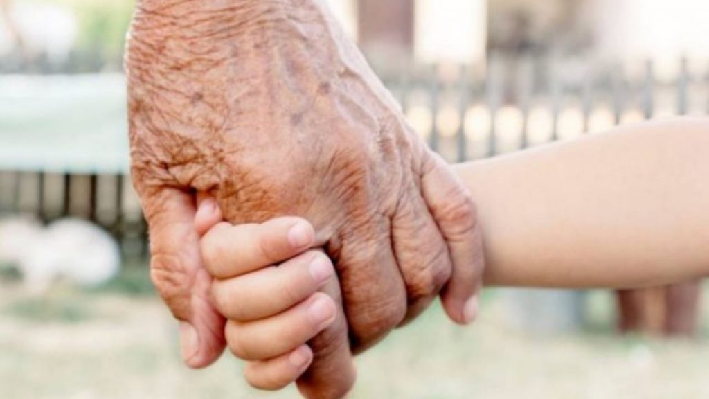 I nonni sono costretti al mantenimento dei propri nipoti? Cosa dice la Cassazione