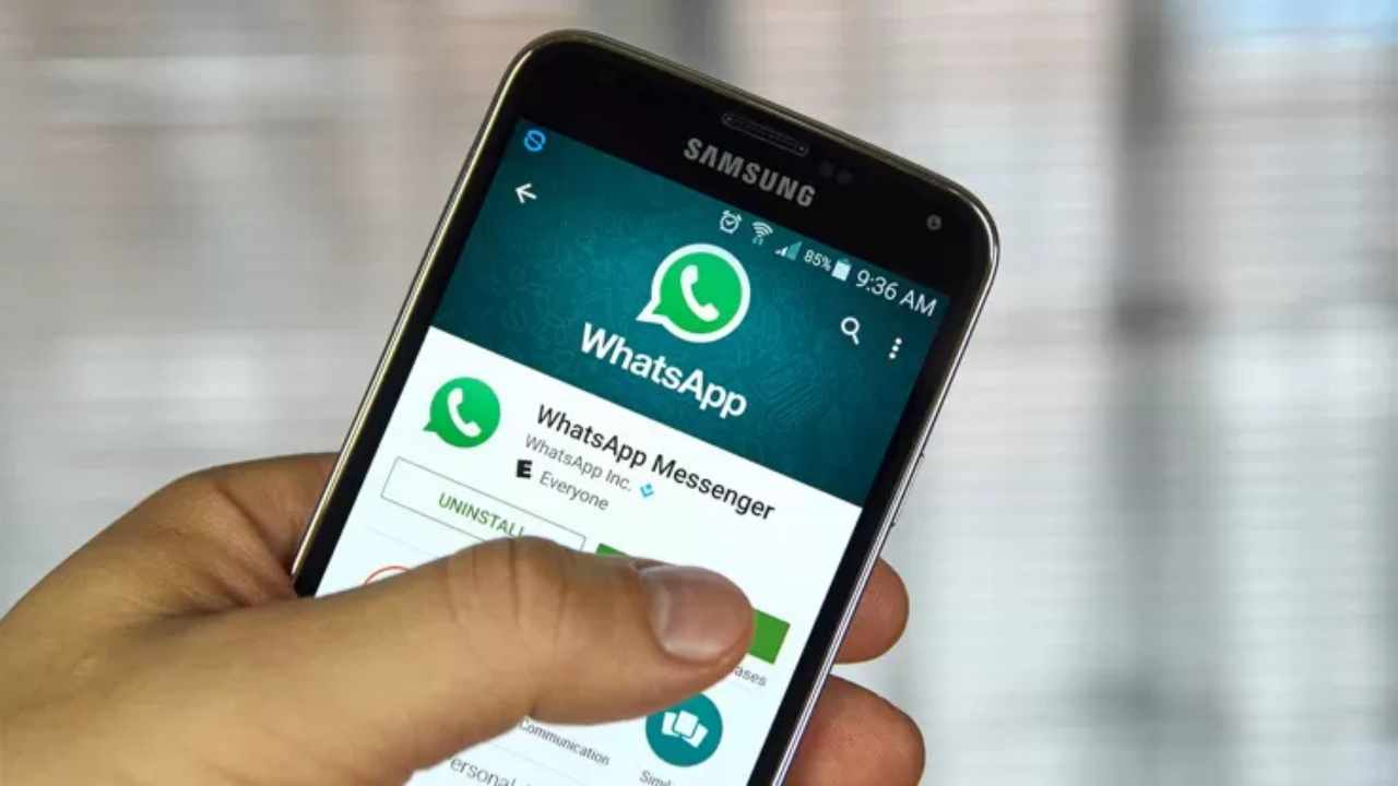 Whatsapp e schede contatti, l'ultimo update cambia tutto