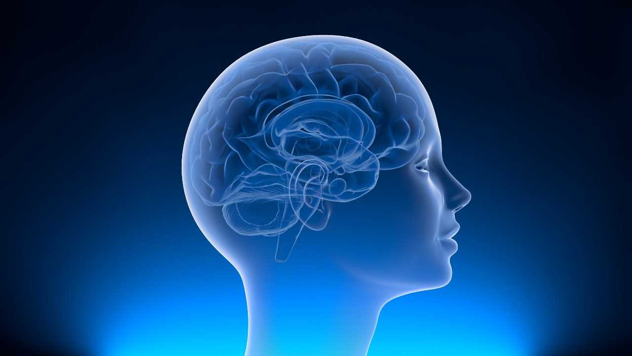 Neuralink - MeteoWeek.com 20221207