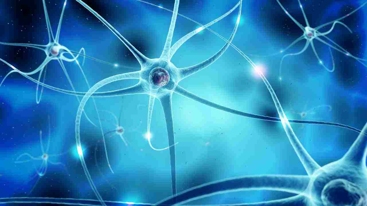 Neuroscienza - MeteoWeek.com 20221207